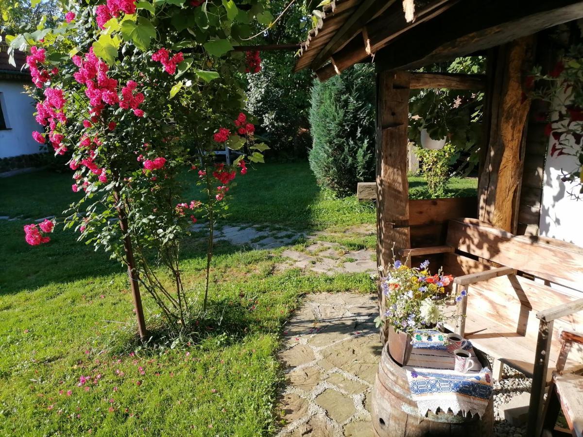 Casa Traditionala Transilvaneana Rucar (Brasov) Exterior foto